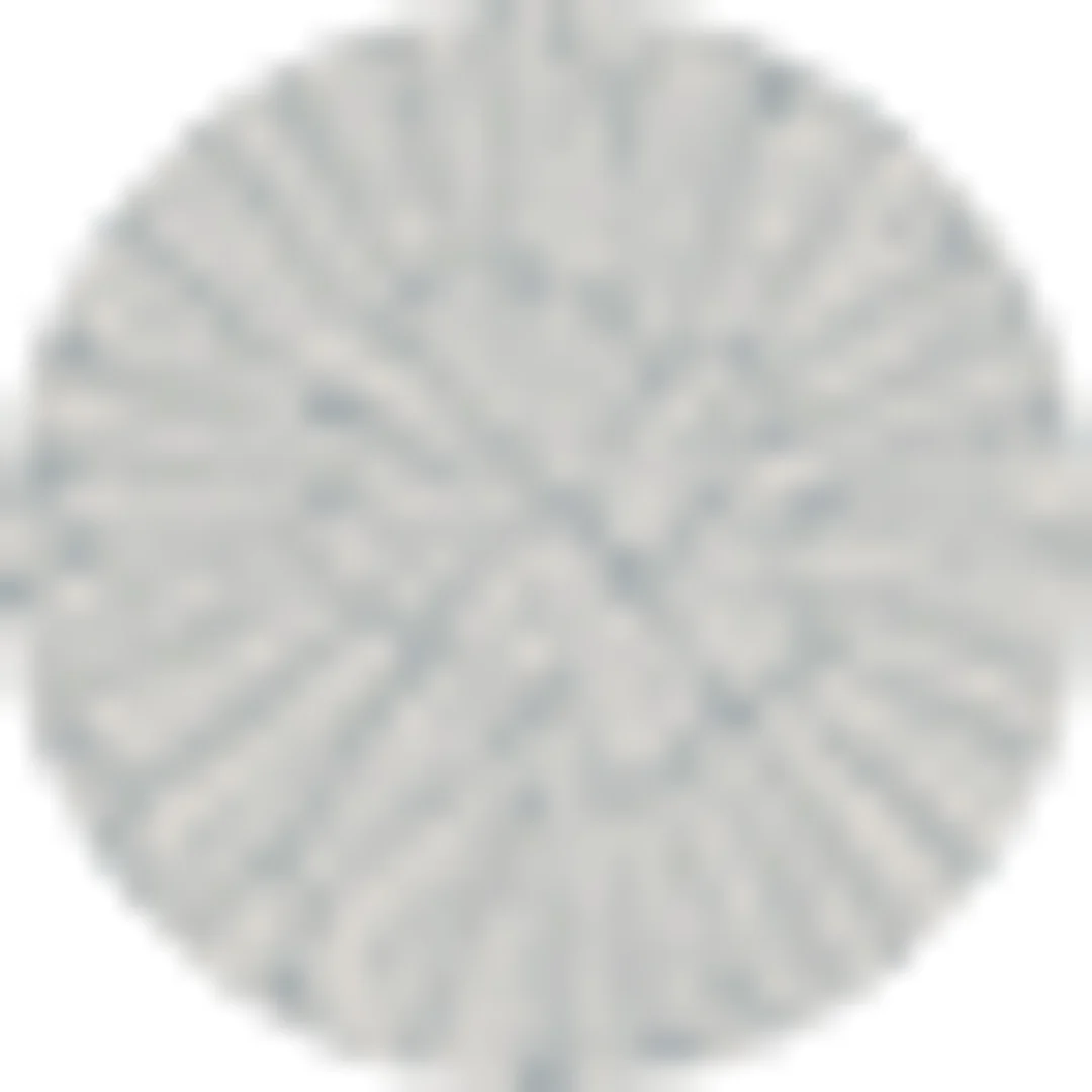 Talerz płytki Delta Grey, 290mm — zdjęcie 9