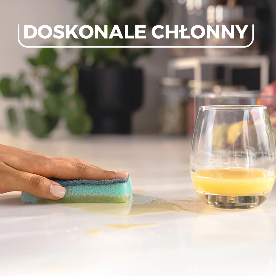 Zmywak z enzymami Vileda Pro Clean 2 szt. — zdjęcie 13