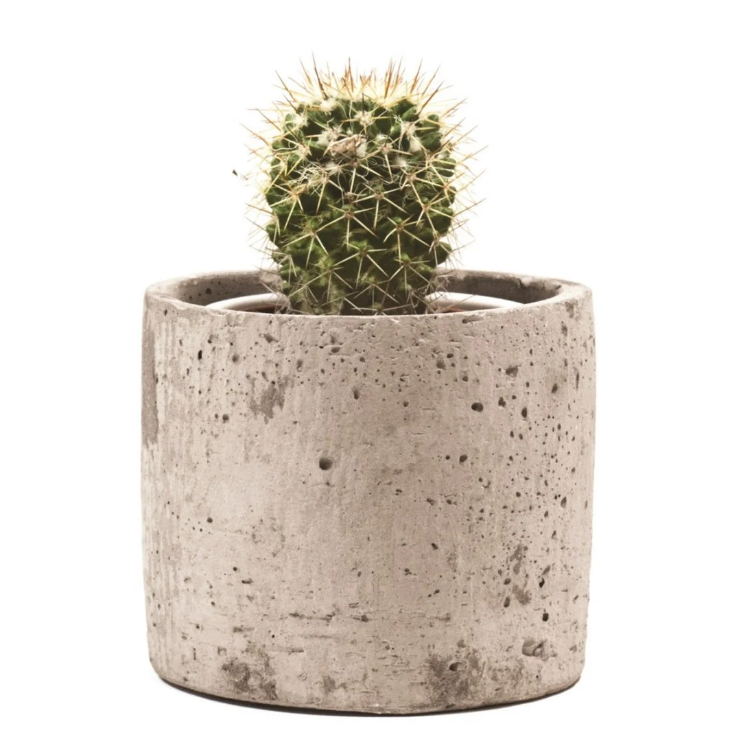 Doniczka walec z Betonu H: 10,5cm D:13cm — zdjęcie 2
