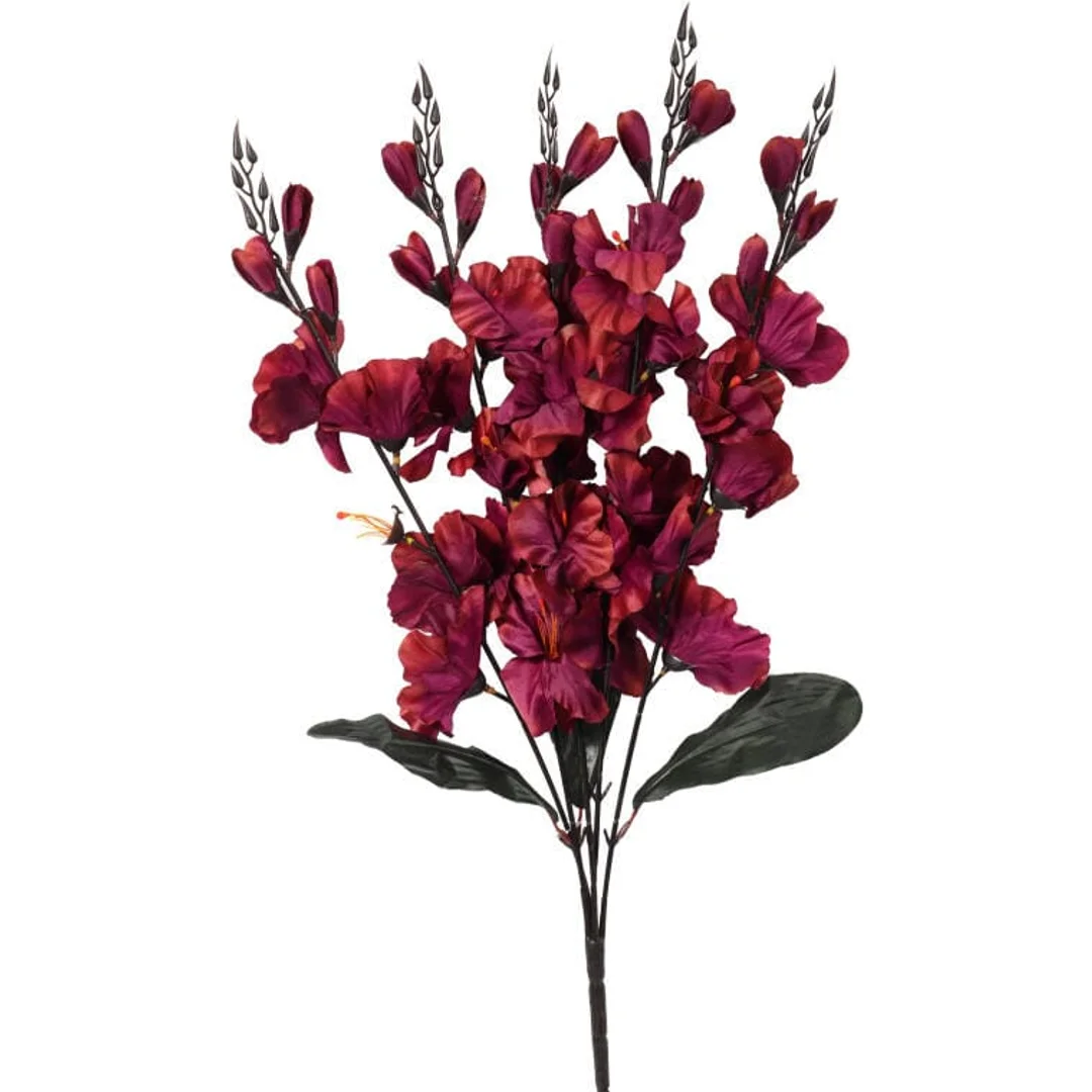 Bukiet 5 gladioli bordowych