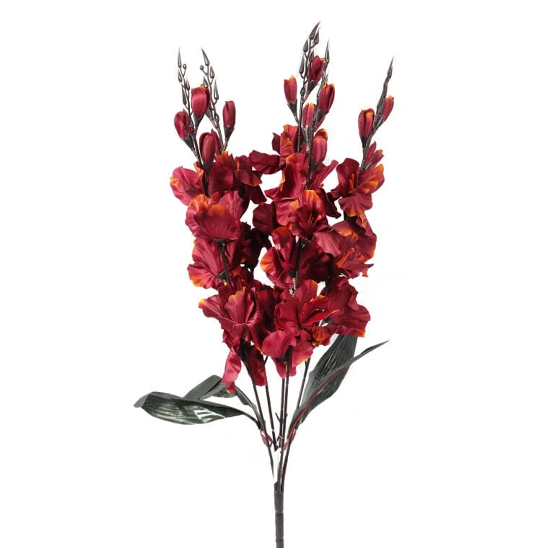 Bukiet 5 gladioli borodowo żółtych