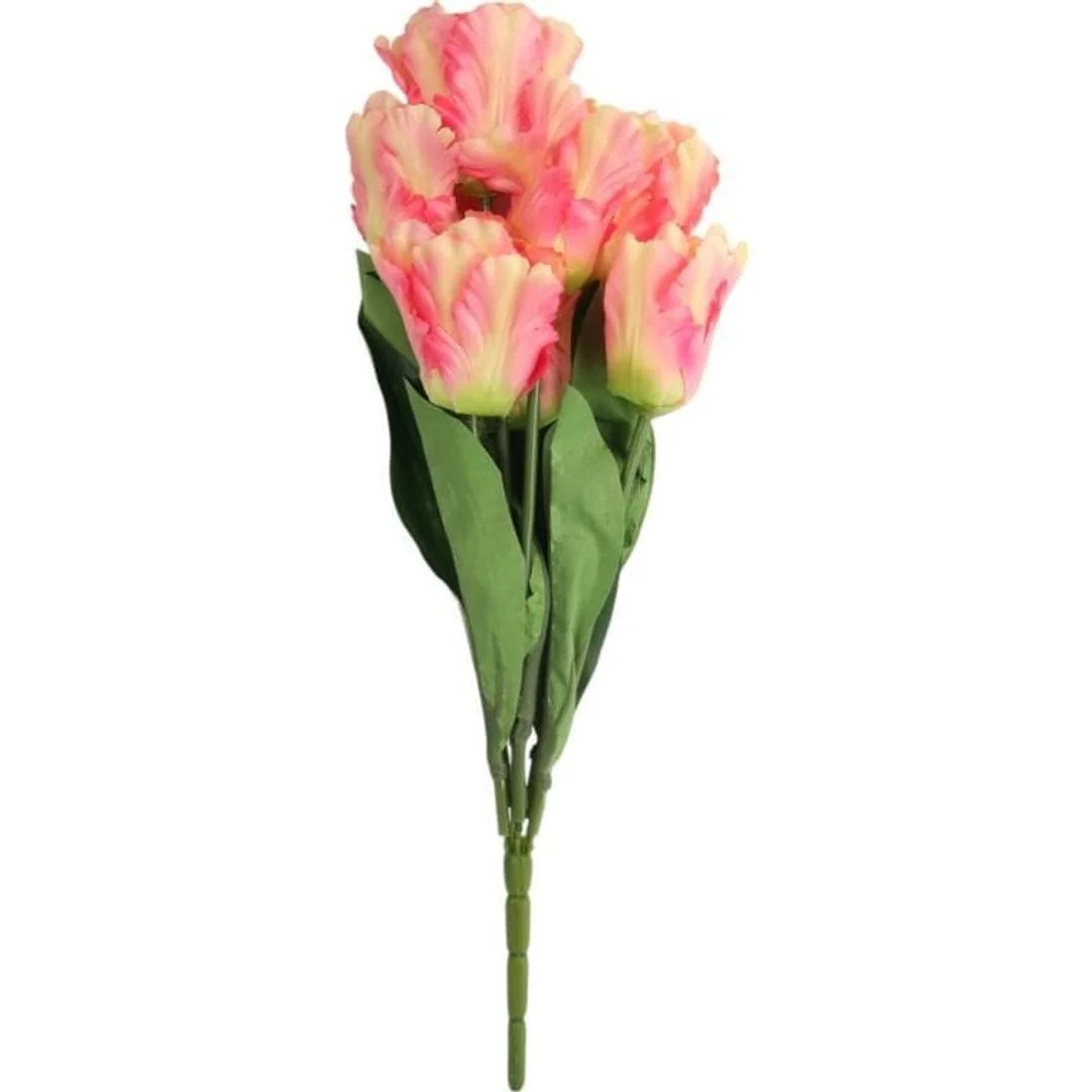 Bukiet 7 Tulipanów Papuzich 54 cm Łososiowy
