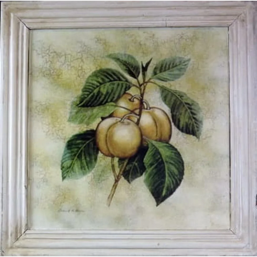 Obraz Owocowe Gałązki Efekt Starzenia 41x41 cm - Część z Serii 4