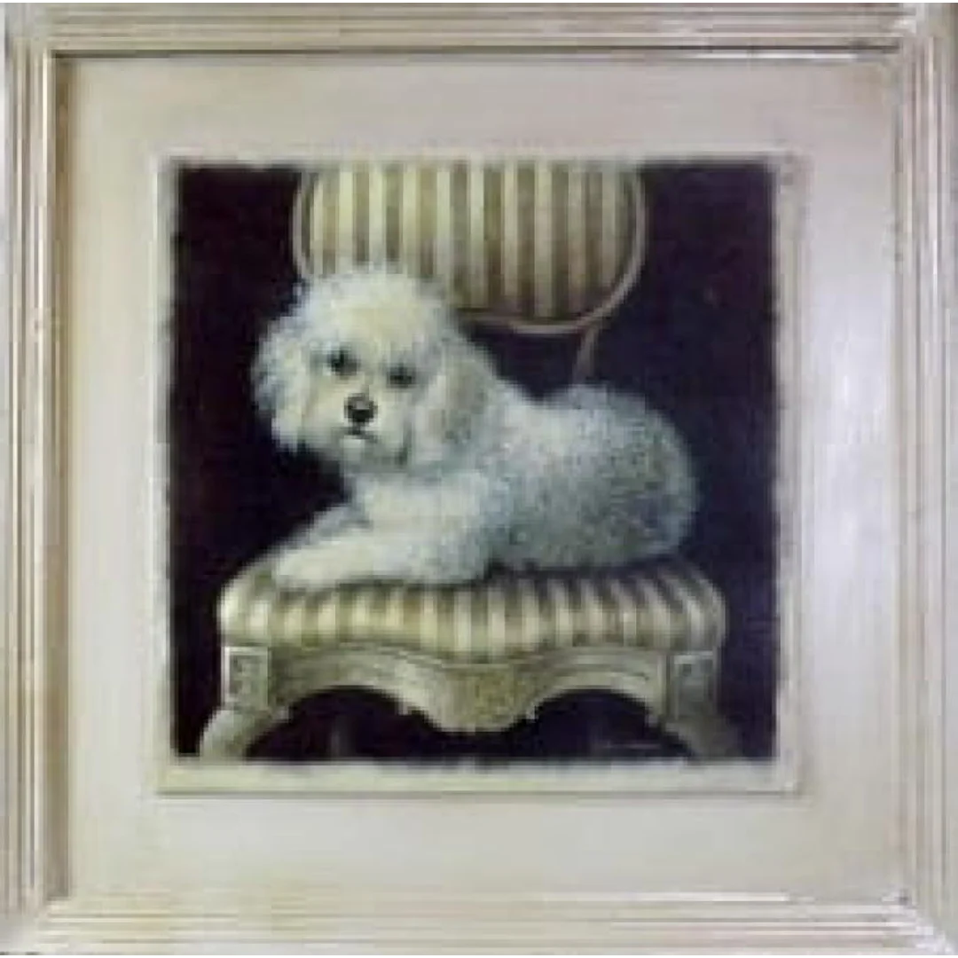 Obraz z Postarzanym Efektem - Piesek (Pudel) 41x41 cm