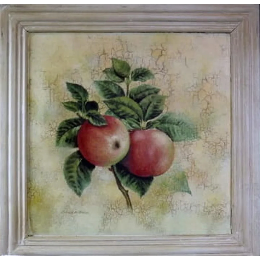 Obraz z Serii Gałązki Owocowe - Jabłka, Efekt Postarzania 41x41cm