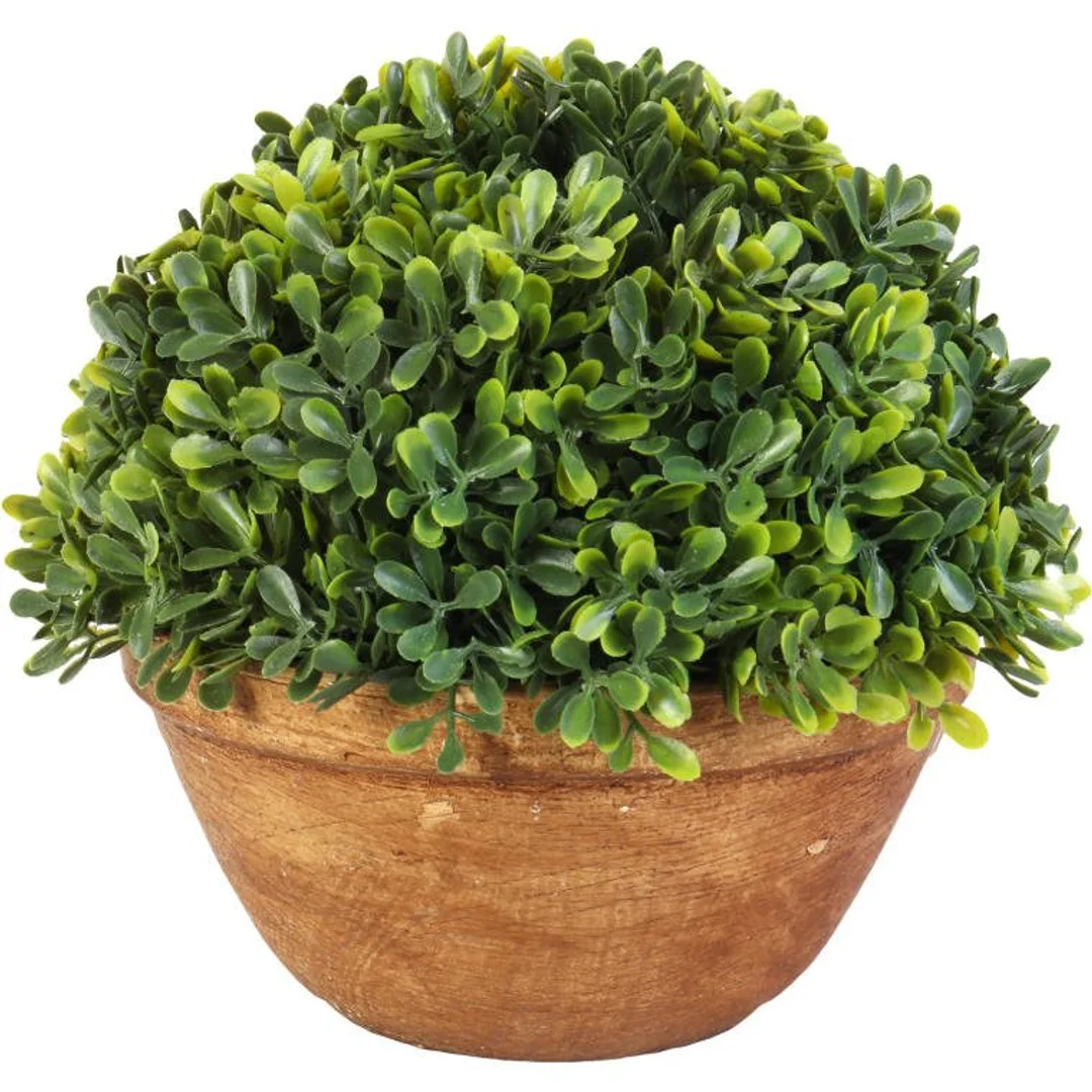 Sztuczny Bukszpan w Ceramicznej Doniczce 20cm - Zielony