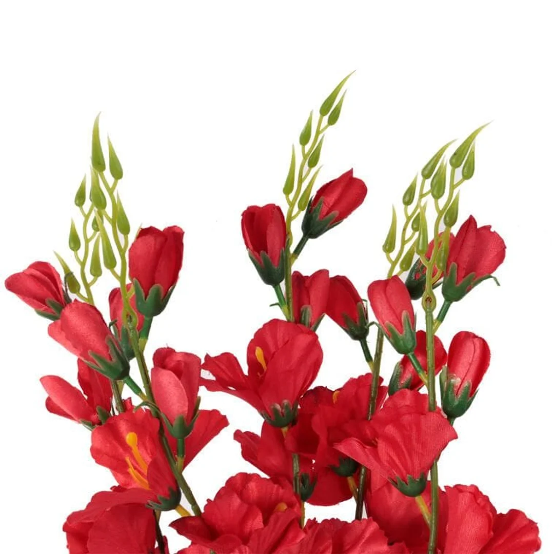 Bukiet 5 czerwonych Gladioli o Wysokości 60 cm — zdjęcie 2