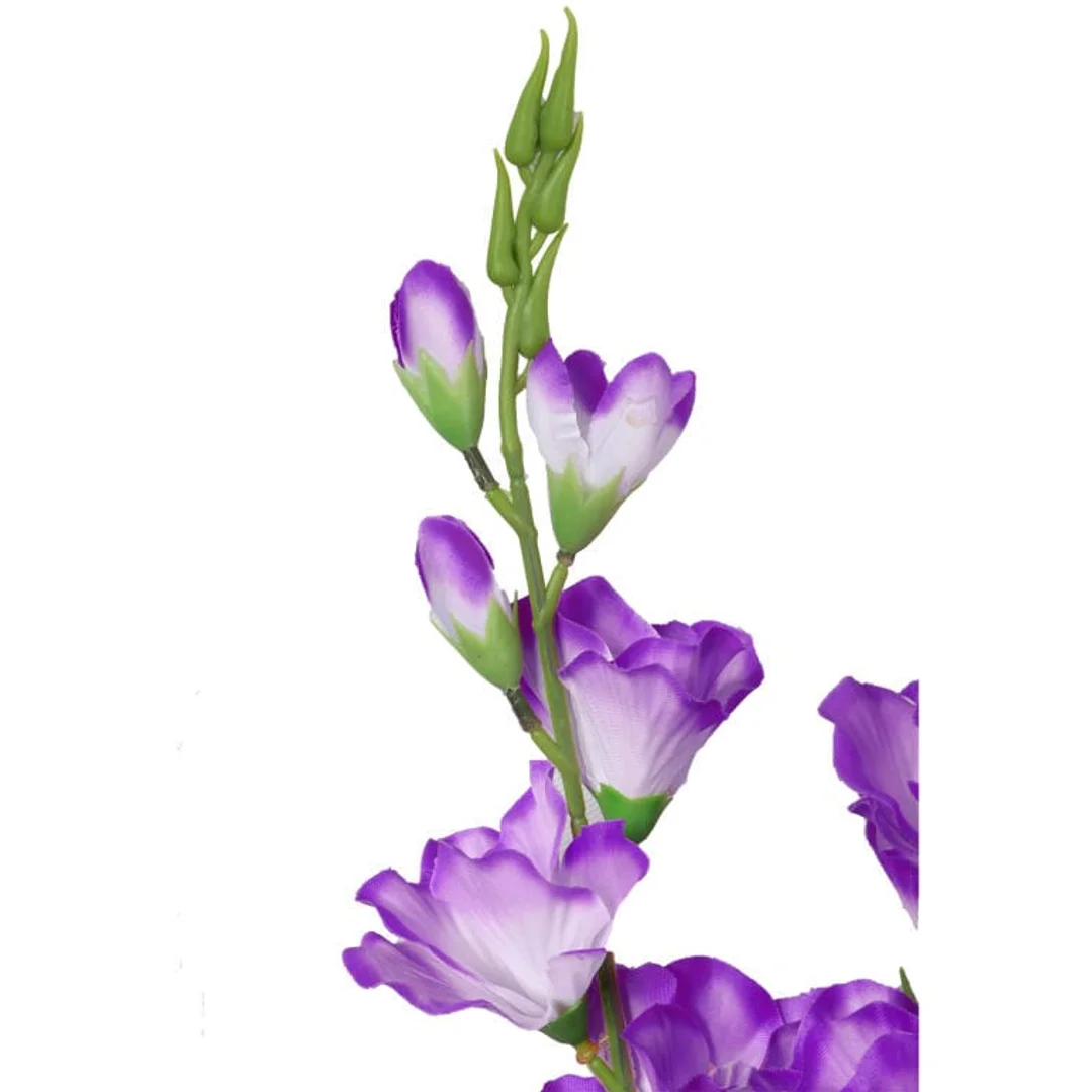Bukiet 5 Fioletowych Gladioli o Wysokości 60 cm — zdjęcie 2