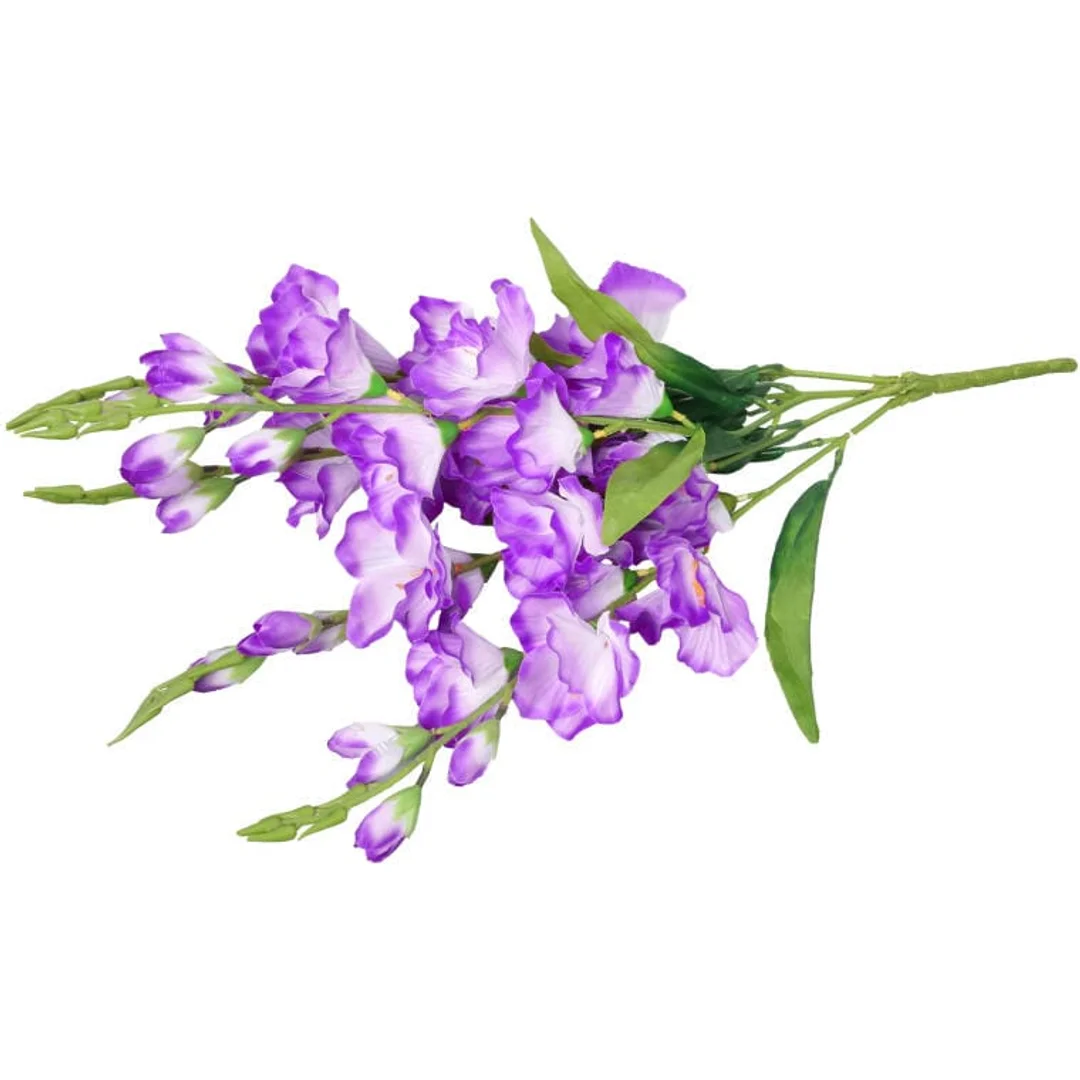 Bukiet 5 Fioletowych Gladioli o Wysokości 60 cm — zdjęcie 3
