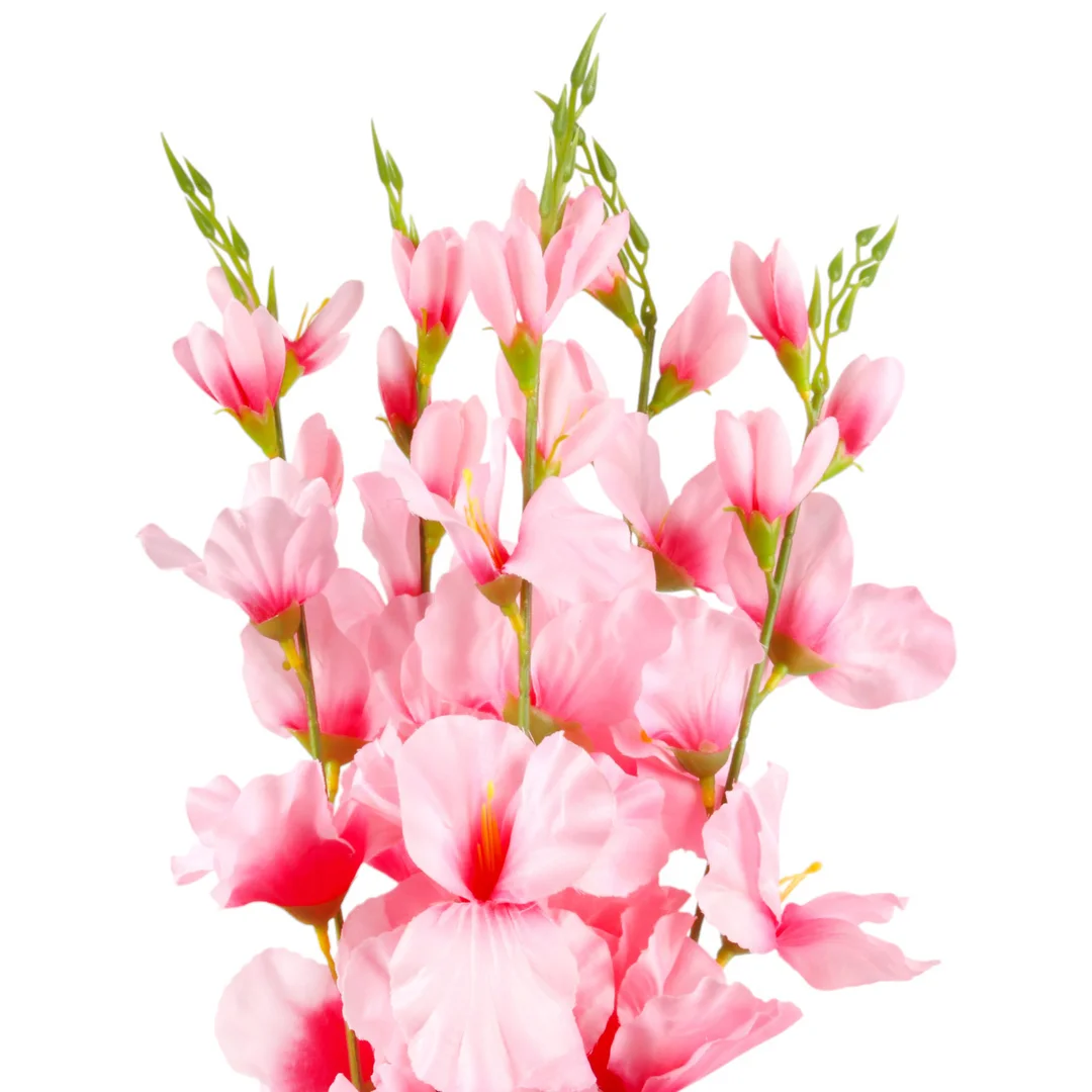 BUKIET 5 GAŁĄZEK MIECZYKÓW jasno-różowa GLADIOLA 67 cm — zdjęcie 3