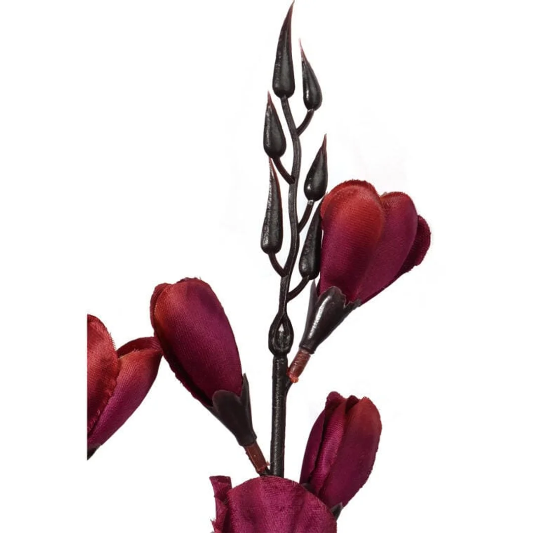 Bukiet 5 gladioli bordowych — zdjęcie 2