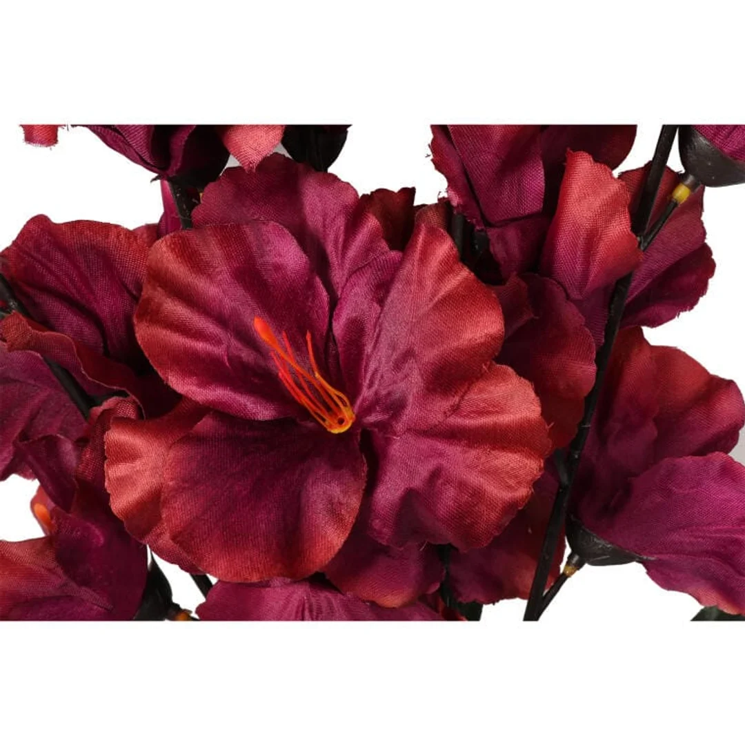 Bukiet 5 gladioli bordowych — zdjęcie 3