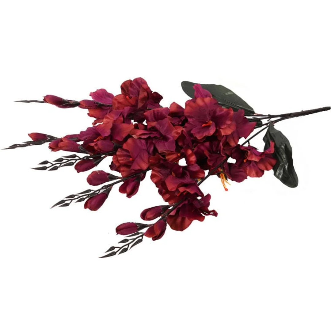 Bukiet 5 gladioli bordowych — zdjęcie 4