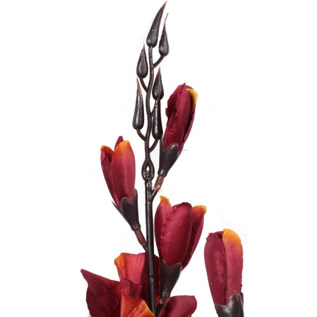 Bukiet 5 gladioli borodowo żółtych — zdjęcie 2