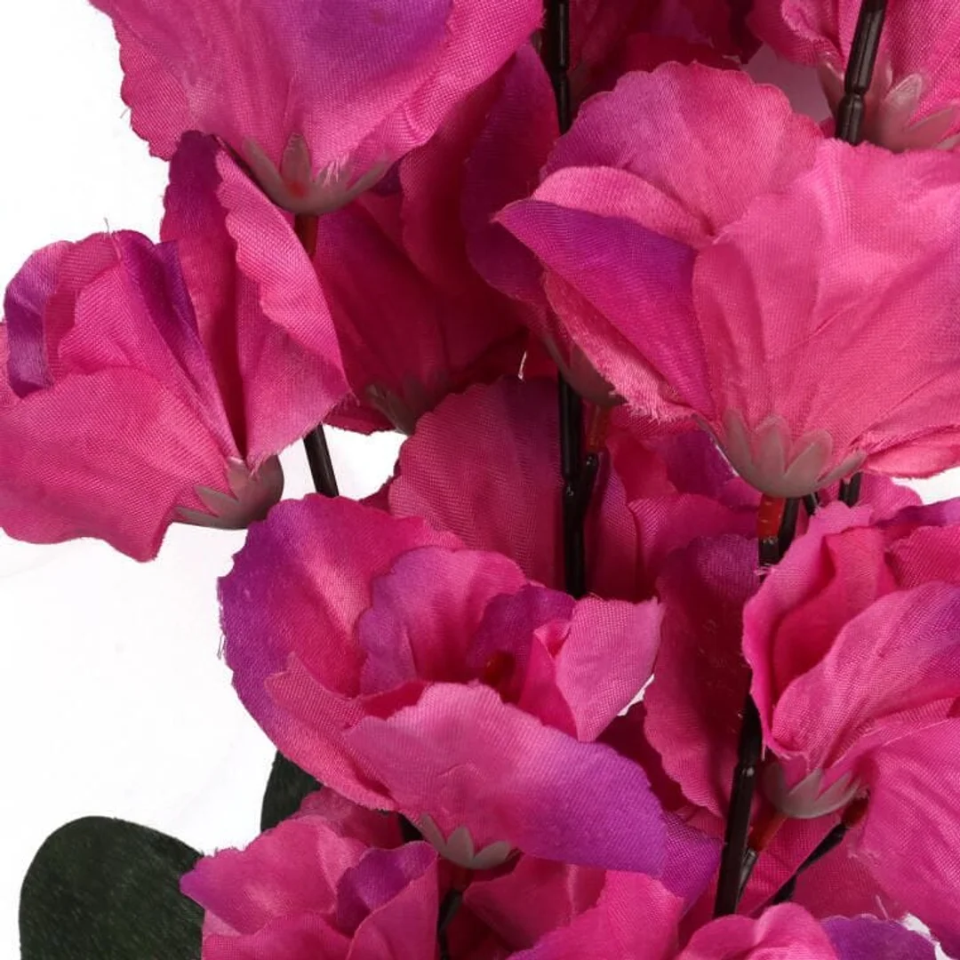 Bukiet 5 gladioli ciemno różowych — zdjęcie 3