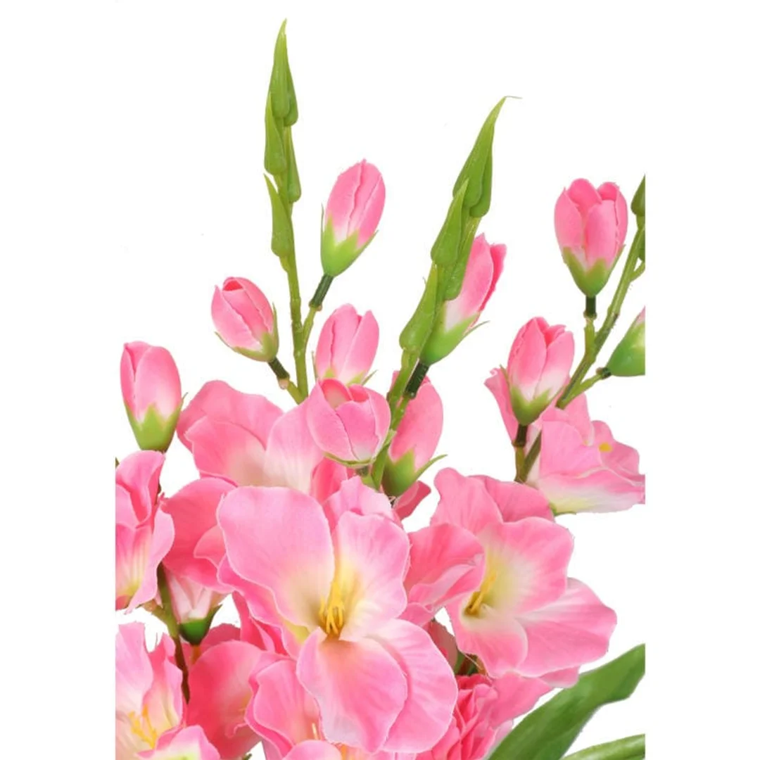 Bukiet 5 jasno różowych gladioli — zdjęcie 2