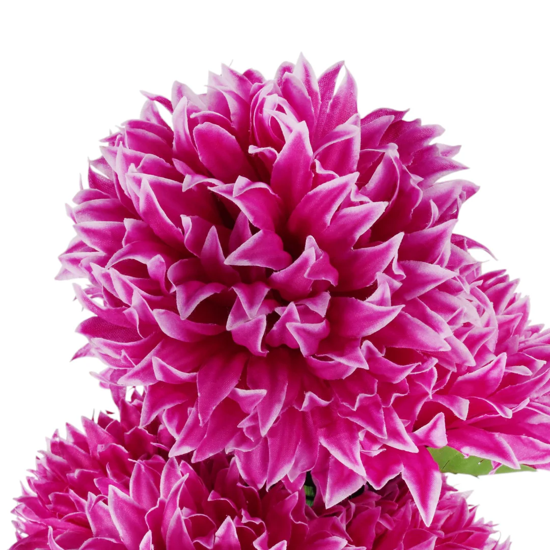 Bukiet 7 dużych chryzantem w kolorze fioletowym 64 cm — zdjęcie 3