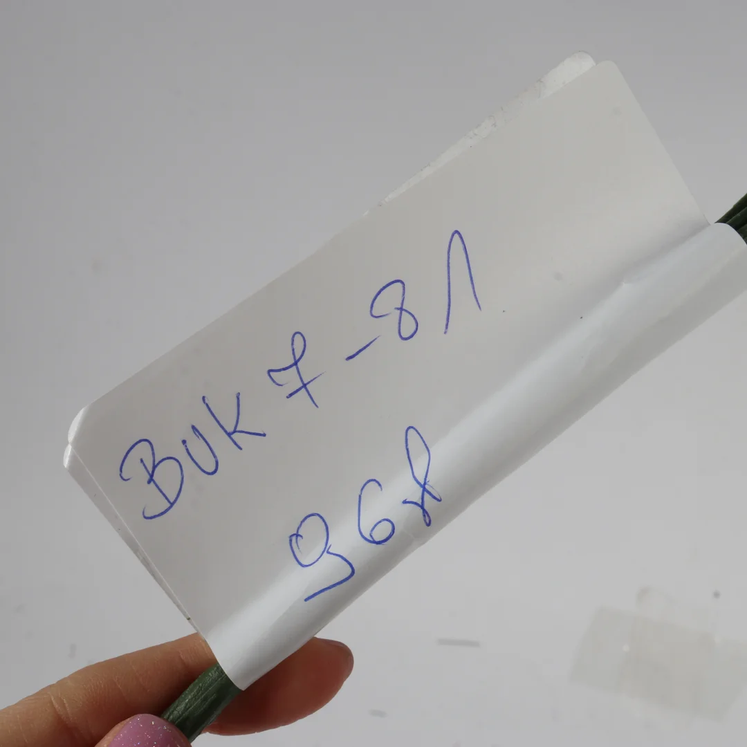 BUKIET 7 RÓŻ Z BUKSZPANEM żółty 52 cm — zdjęcie 6
