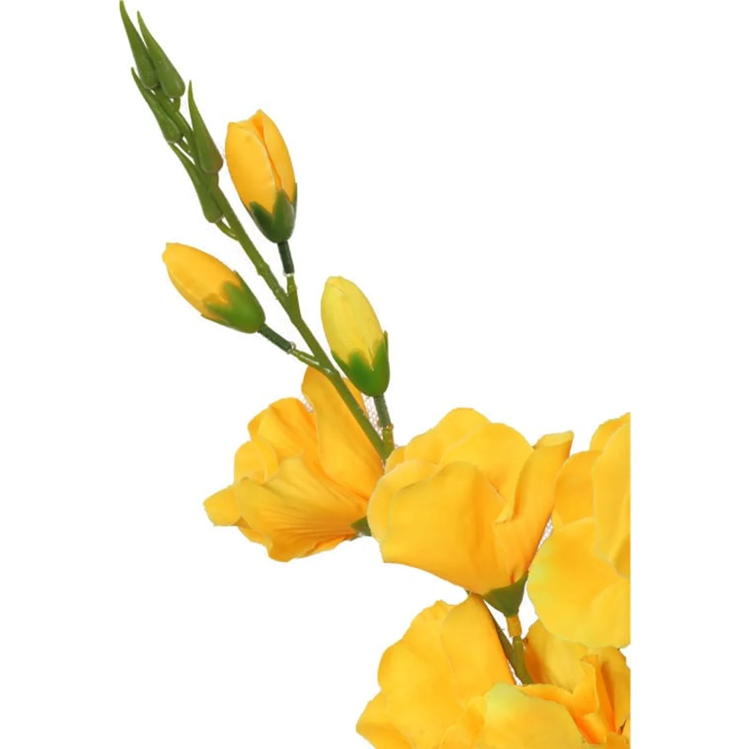 Bukiet pięciu żółtych gladioli o wysokości 60 cm — zdjęcie 2