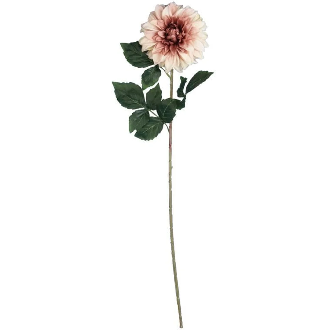 Dalia DUŻY kwiat pojedynczy BRĄZOWA 74 cm — zdjęcie 2