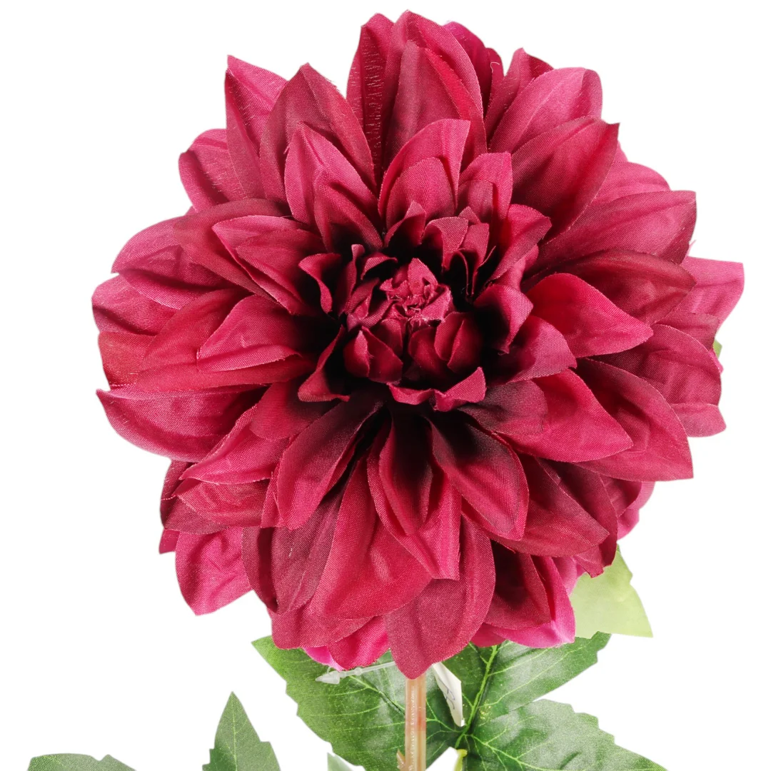 Dalia DUŻY kwiat pojedynczy CIEMNY FIOLET 74 cm — zdjęcie 3