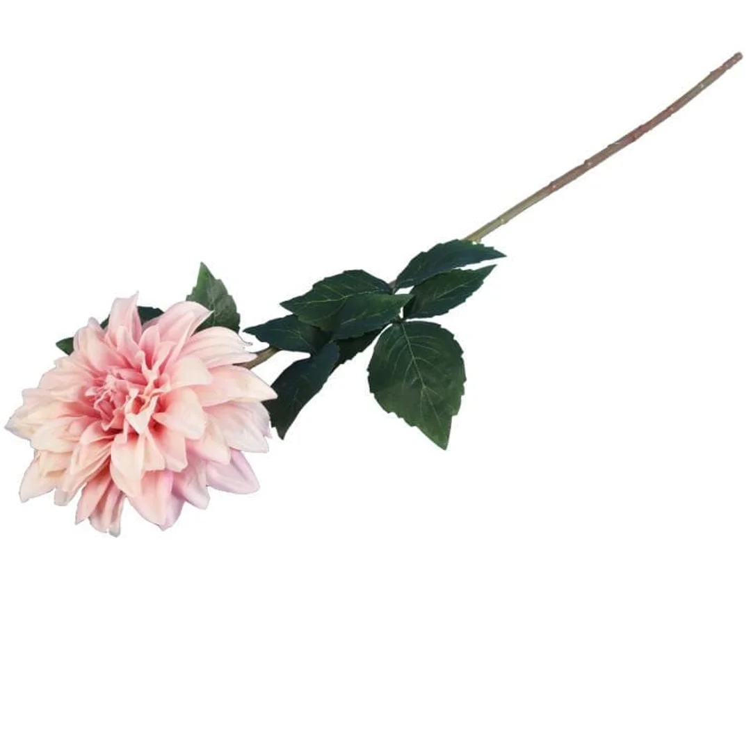 Dalia DUŻY kwiat pojedynczy ŁOSOSIOWY 74 cm — zdjęcie 3