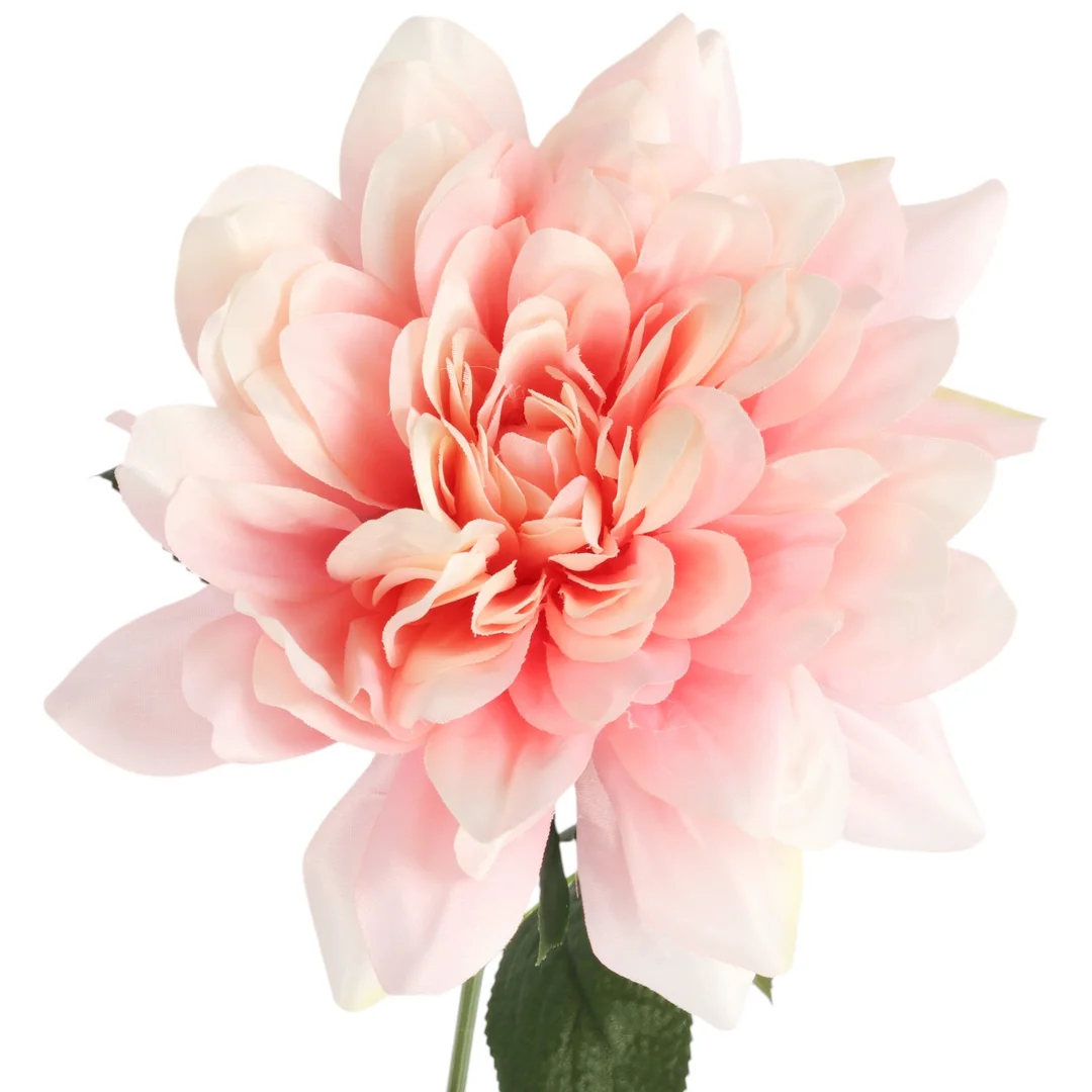 DALIA jasno-różowa 60 cm fi 17 — zdjęcie 3