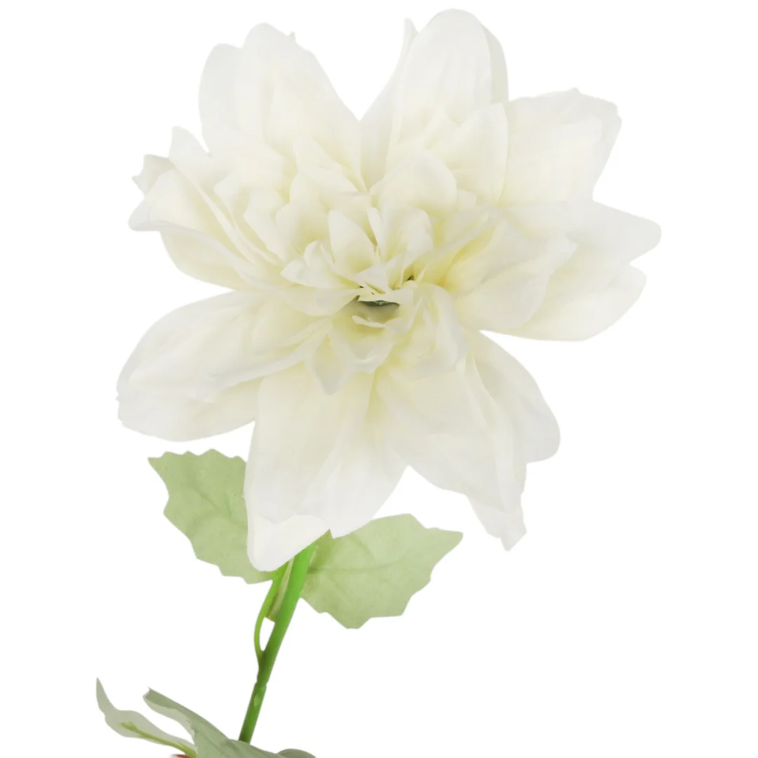 Dalia kwiat pojedynczy biały 70 cm — zdjęcie 3