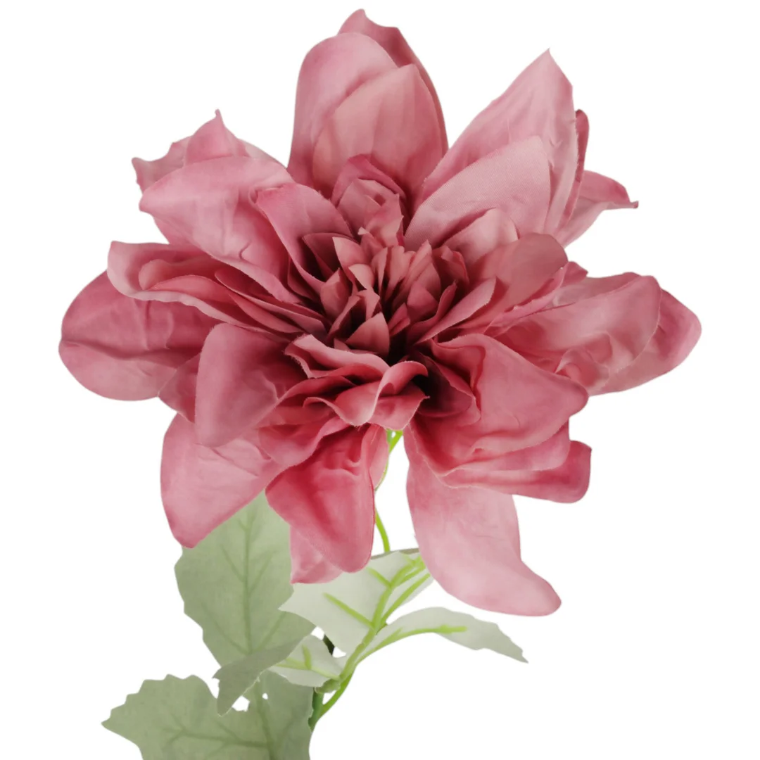 Dalia kwiat pojedynczy różowy 70 cm — zdjęcie 3