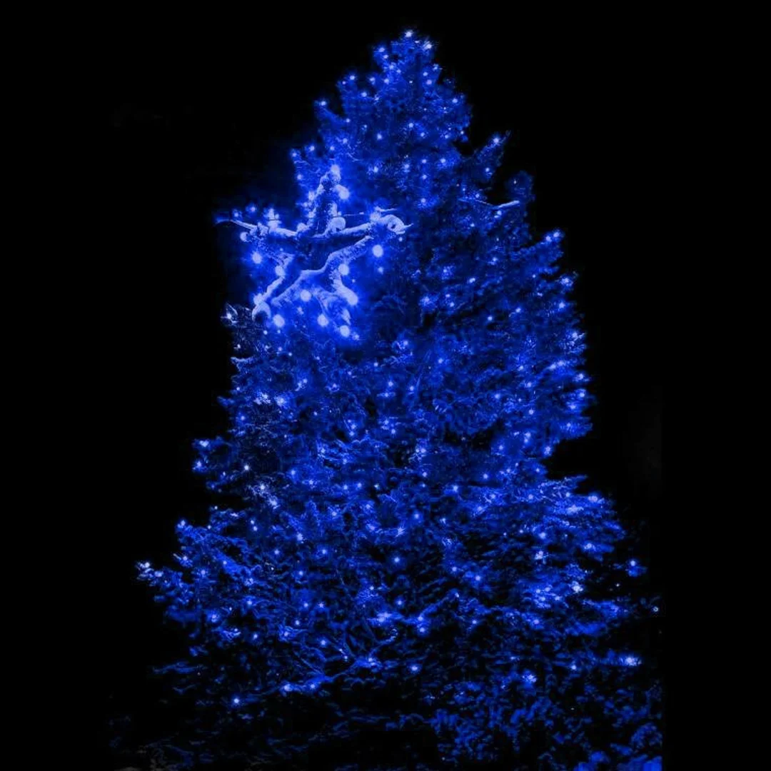 Dekoracja Świetlna Zewnętrzna Niebieska - 100 LED, Łączna, Wysoko Odporna na Warunki Atmosferyczne, Energooszczędna, z Gniazdem - IP44. — zdjęcie 3