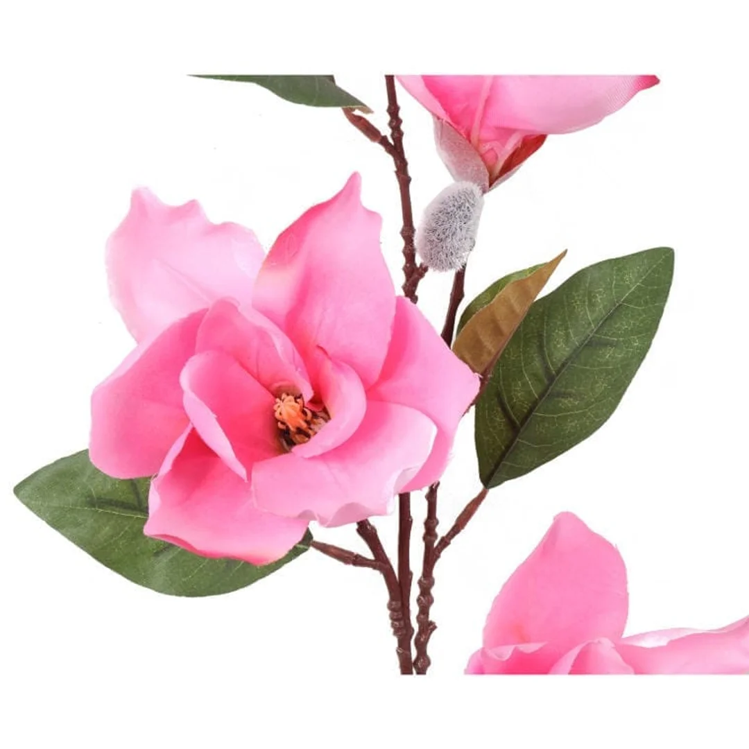 Gałązka 4 magnolii w kolorze różowym — zdjęcie 2