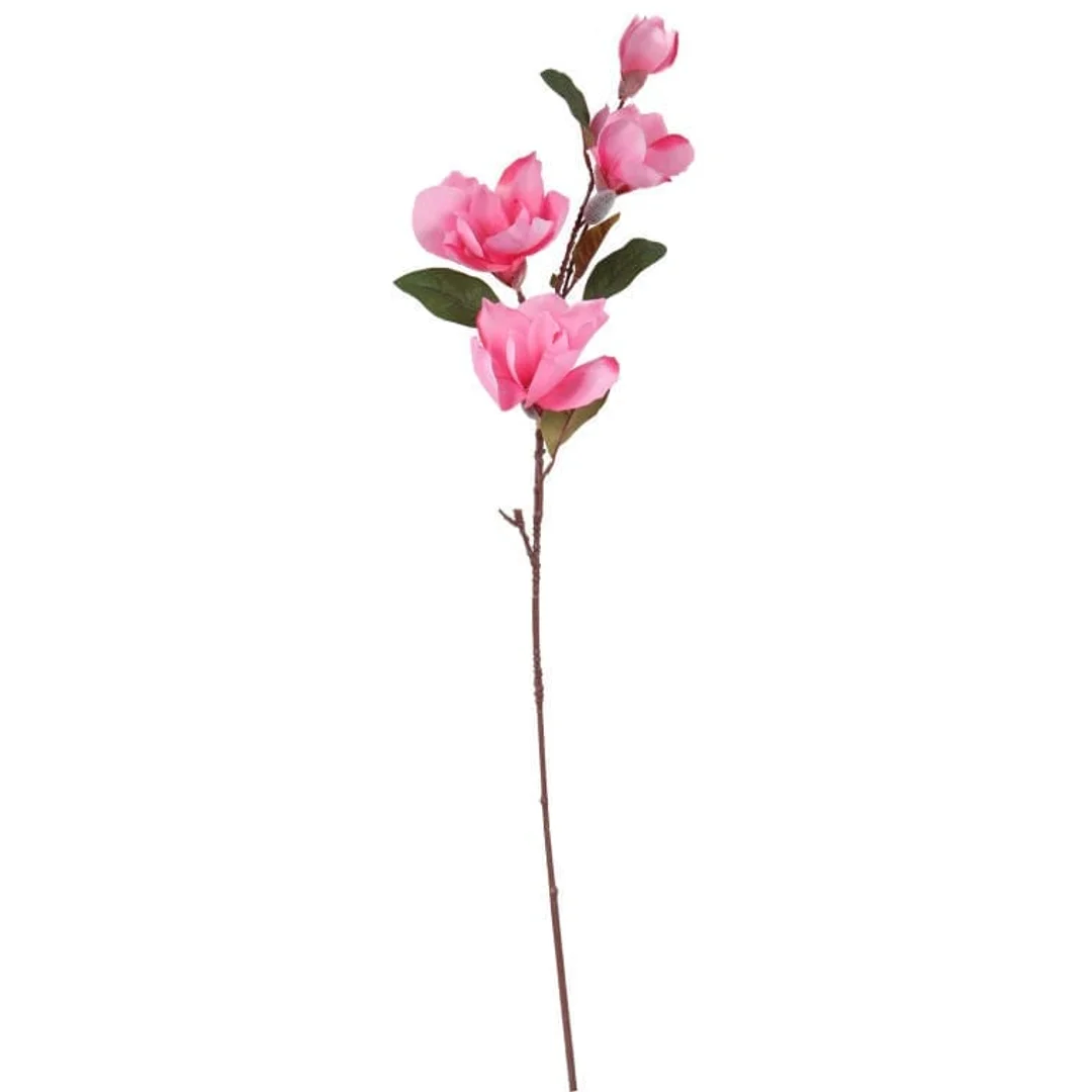 Gałązka 4 magnolii w kolorze różowym — zdjęcie 3