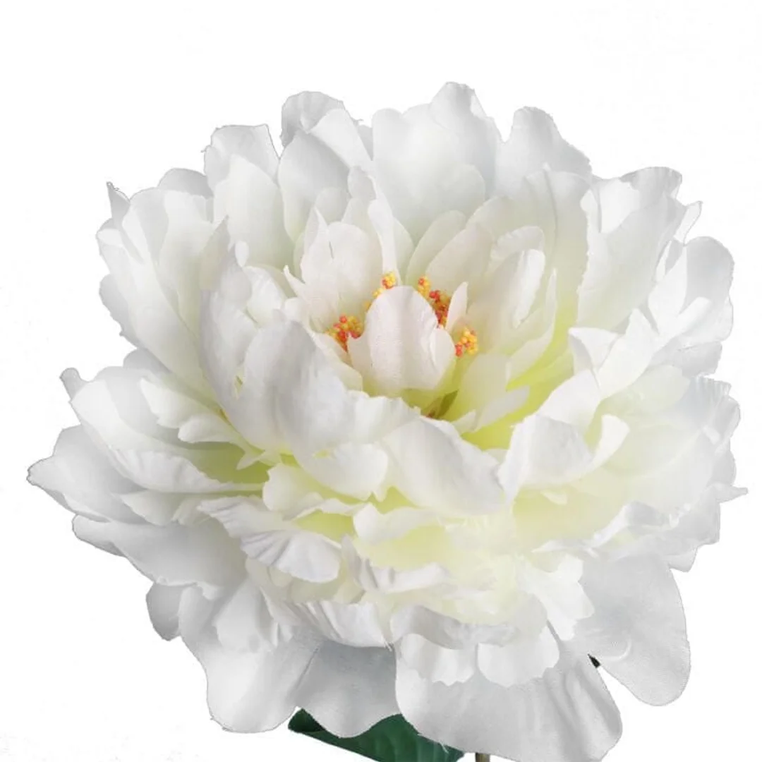 Sztuczna Piwonia w Kolorze Kremowym o Wysokości 74 cm — zdjęcie 2