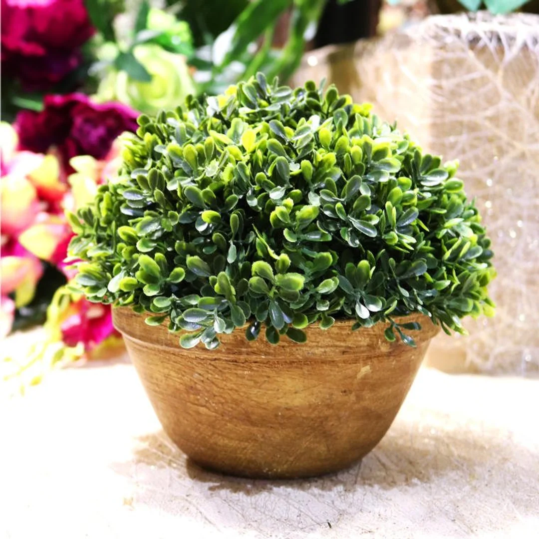 Sztuczny Bukszpan w Ceramicznej Doniczce 20cm - Zielony — zdjęcie 3