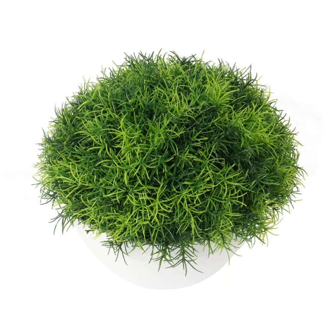 Trawa-kula w białej donicy 25 cm — zdjęcie 2