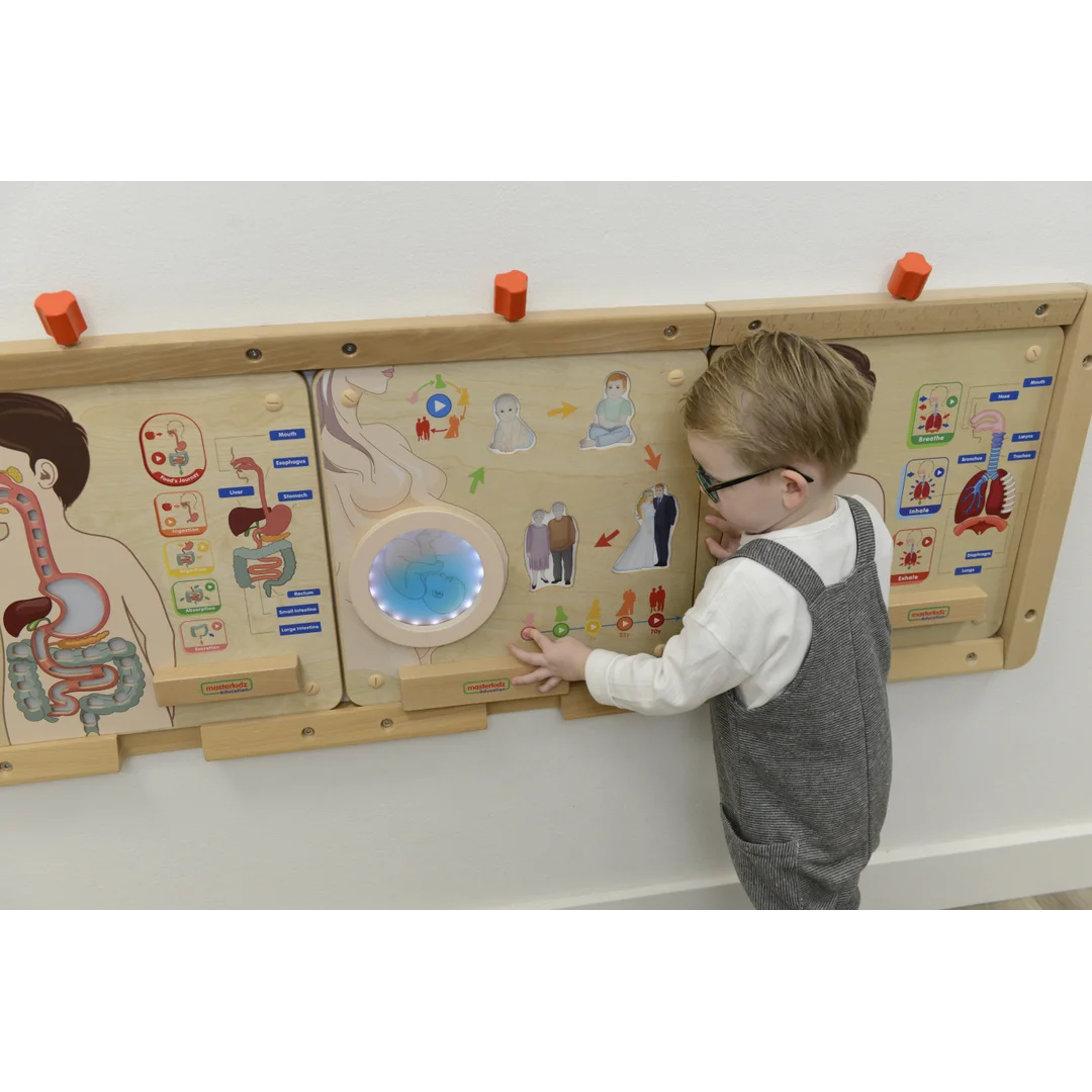 MASTERKIDZ Tablica Edukacyjna Cykl Życia Człowieka Montessori