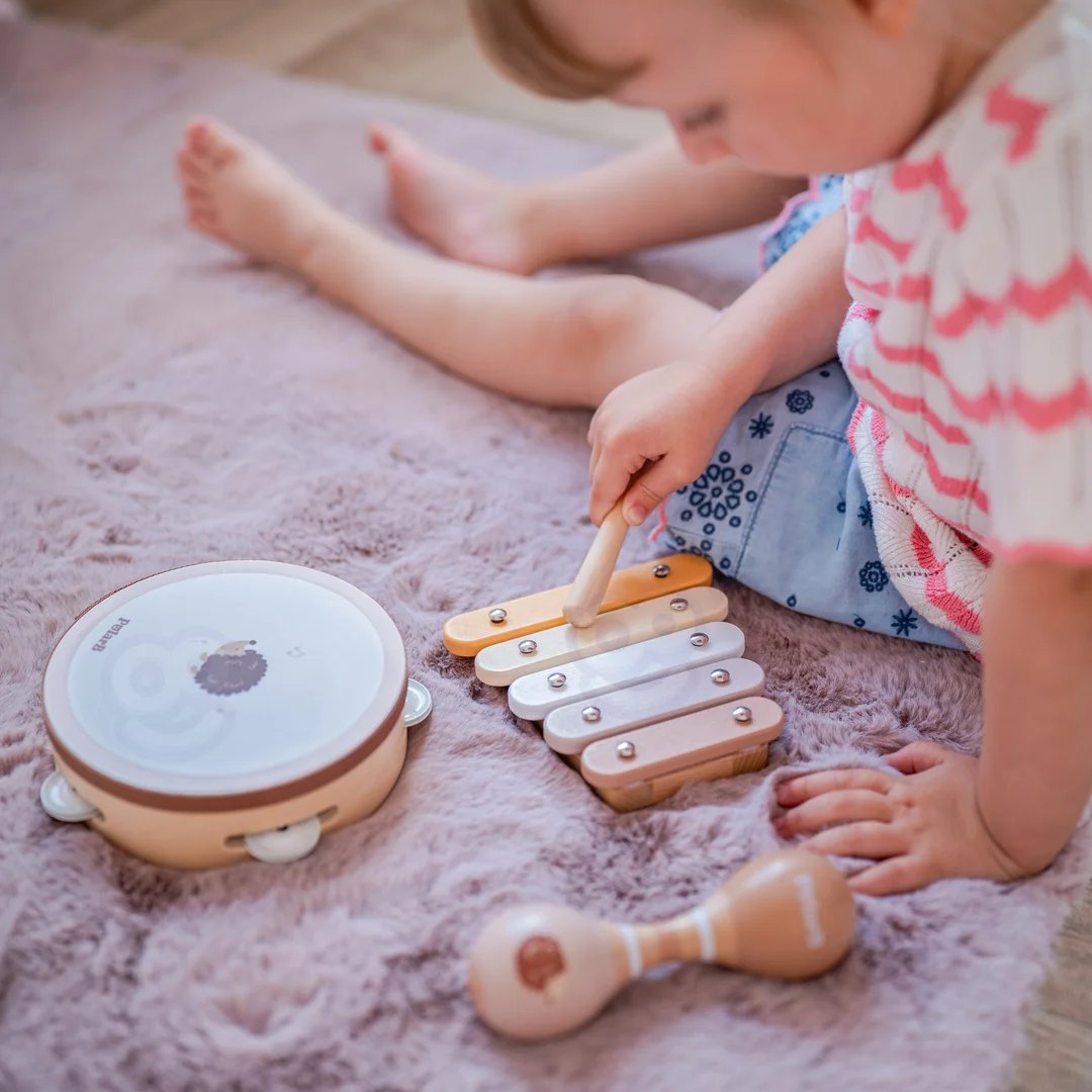VIGA PolarB Zestaw Instrumentów Muzycznych Z Jeżykiem