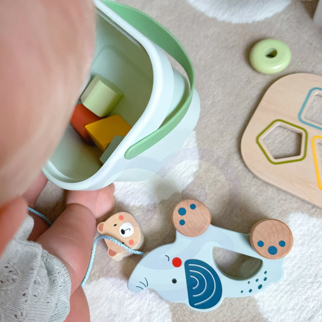 WOOPIE GREEN Pudełko Sorter Klocki Piramidka Słonik FSC