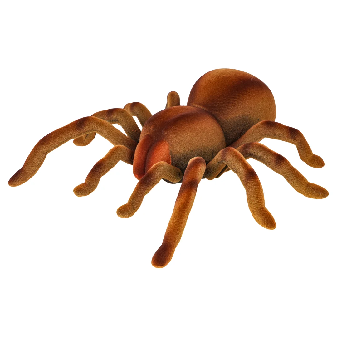 Pająk Tarantula