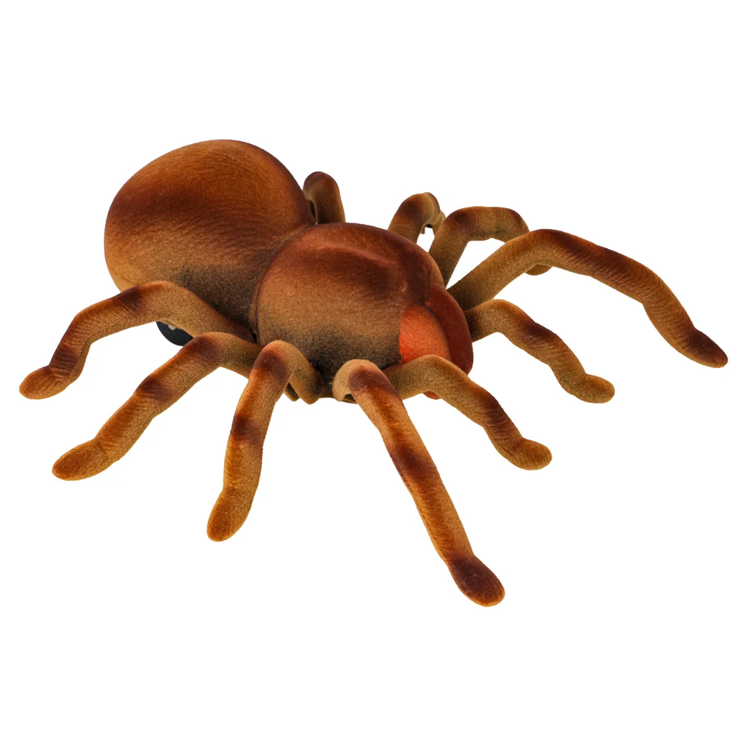 Pająk Tarantula