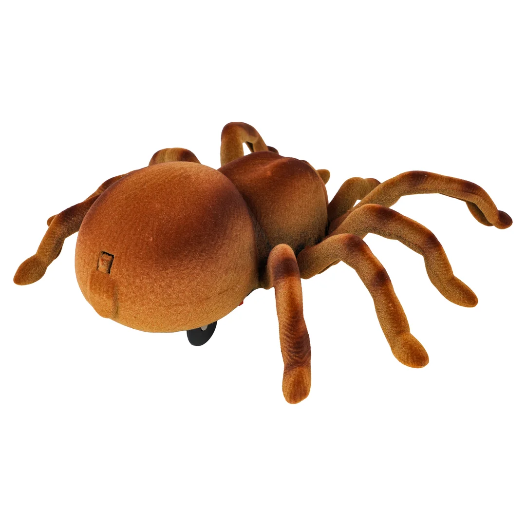 Pająk Tarantula