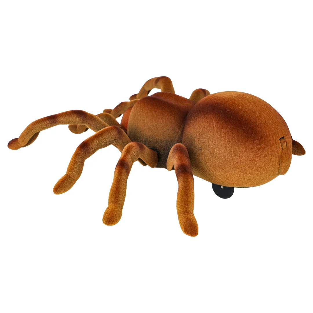 Pająk Tarantula
