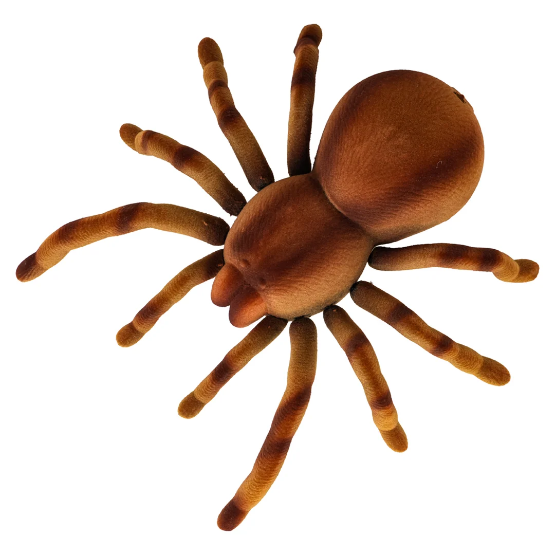 Pająk Tarantula
