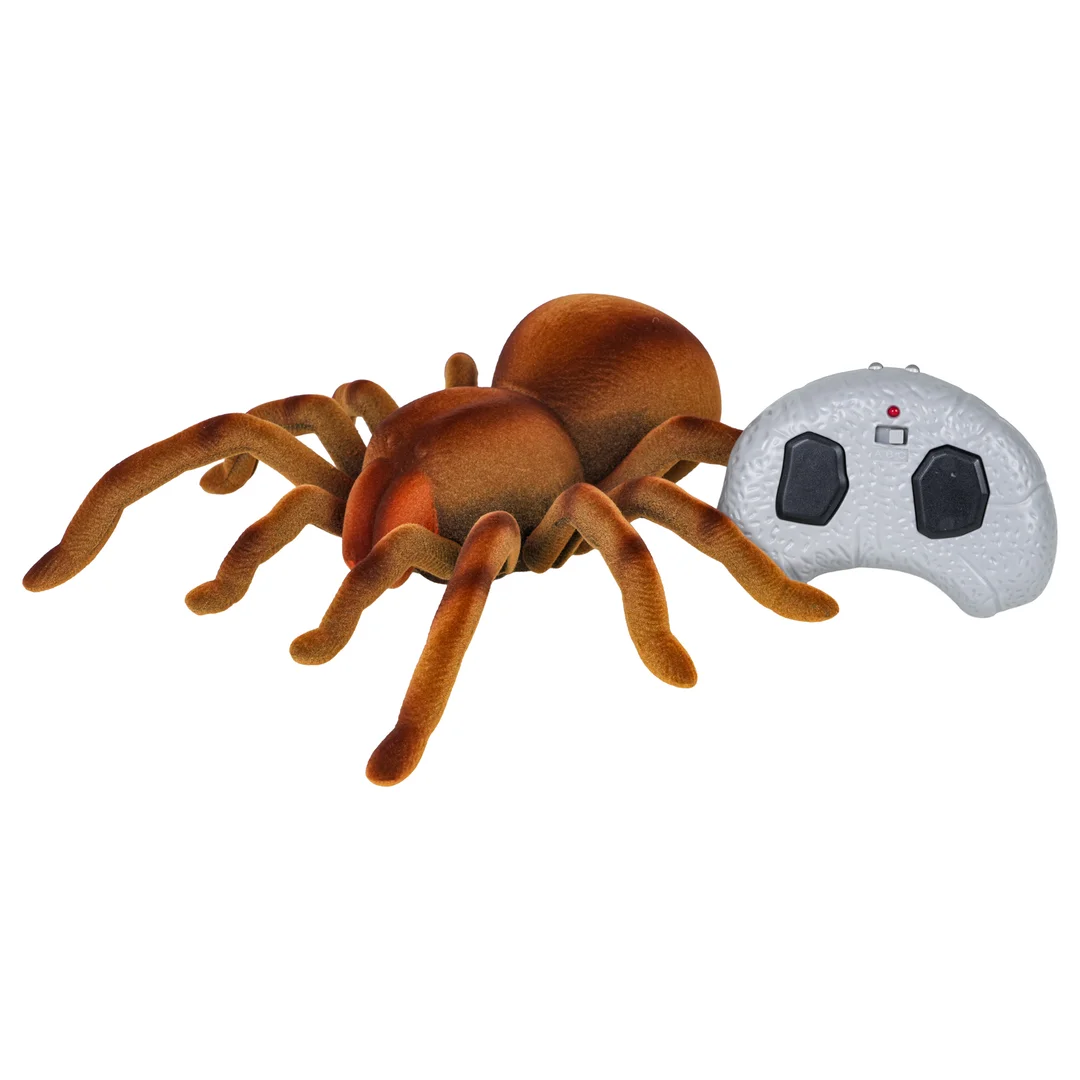Pająk Tarantula