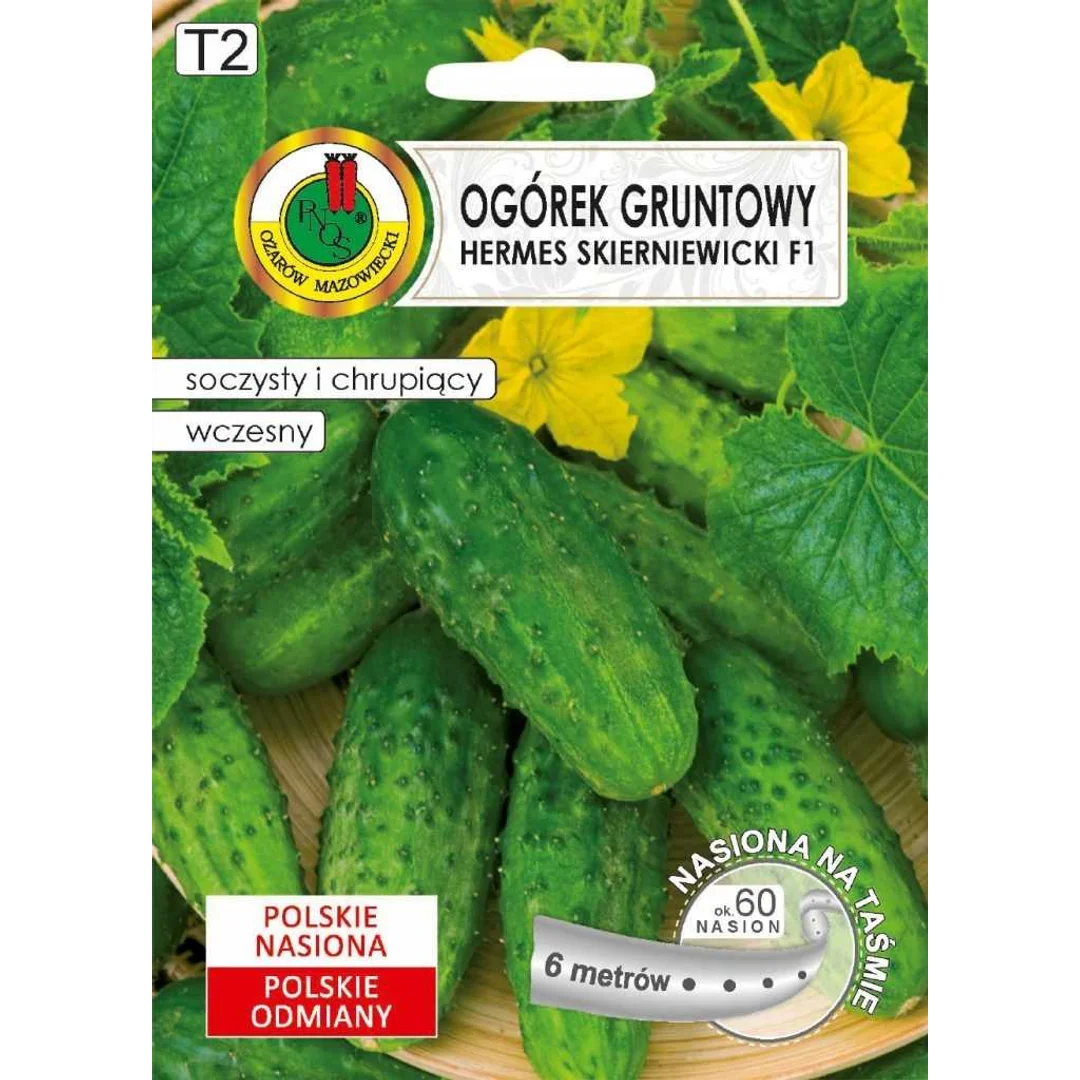 Nasiona Ogórek Hermes Skierniewicki 100g