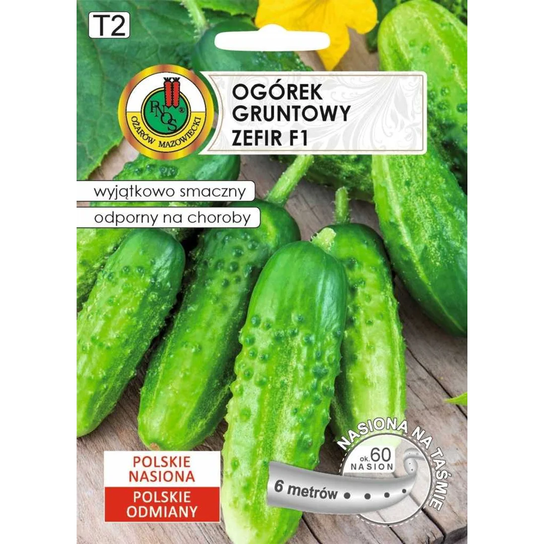 Nasiona Ogórek Zefir 100g