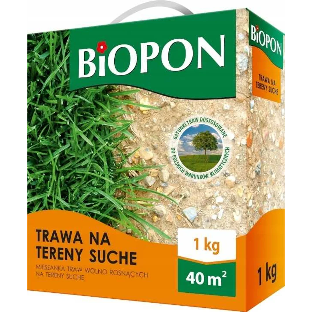 Nasiona trawy gazonowej na tereny suche - 1kg