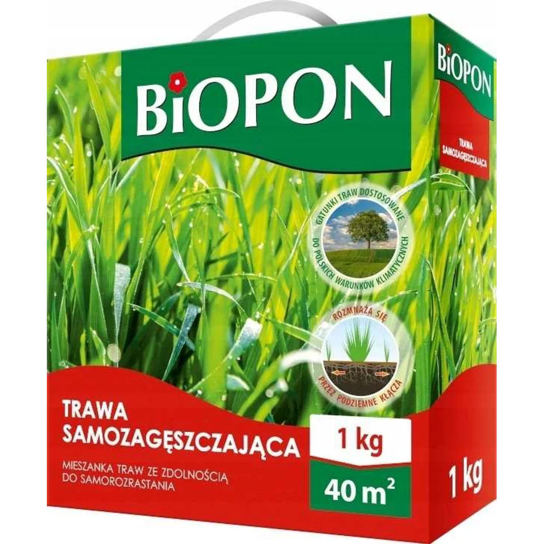 Nasiona trawy gazonowej SAMOZAGĘSZCZAJĄCEJ - 1kg