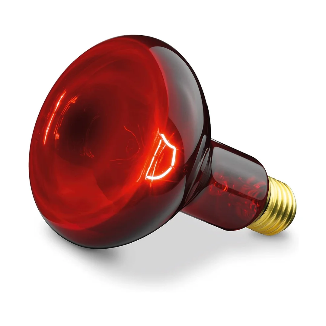 BEURER ŻARÓWKA 100W (IL 11), zamienna żarówka do lampy Beurer IL 11