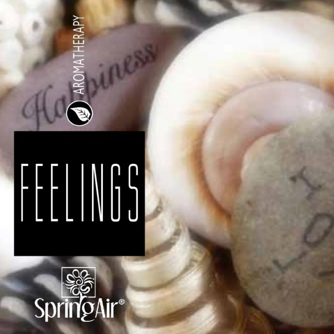 SpringAir® – Odświeżacz powietrza Ultra Scent, 500 ml – Feelings — zdjęcie 2